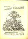 Anden Beretning Oscarshall 1875 7/9
